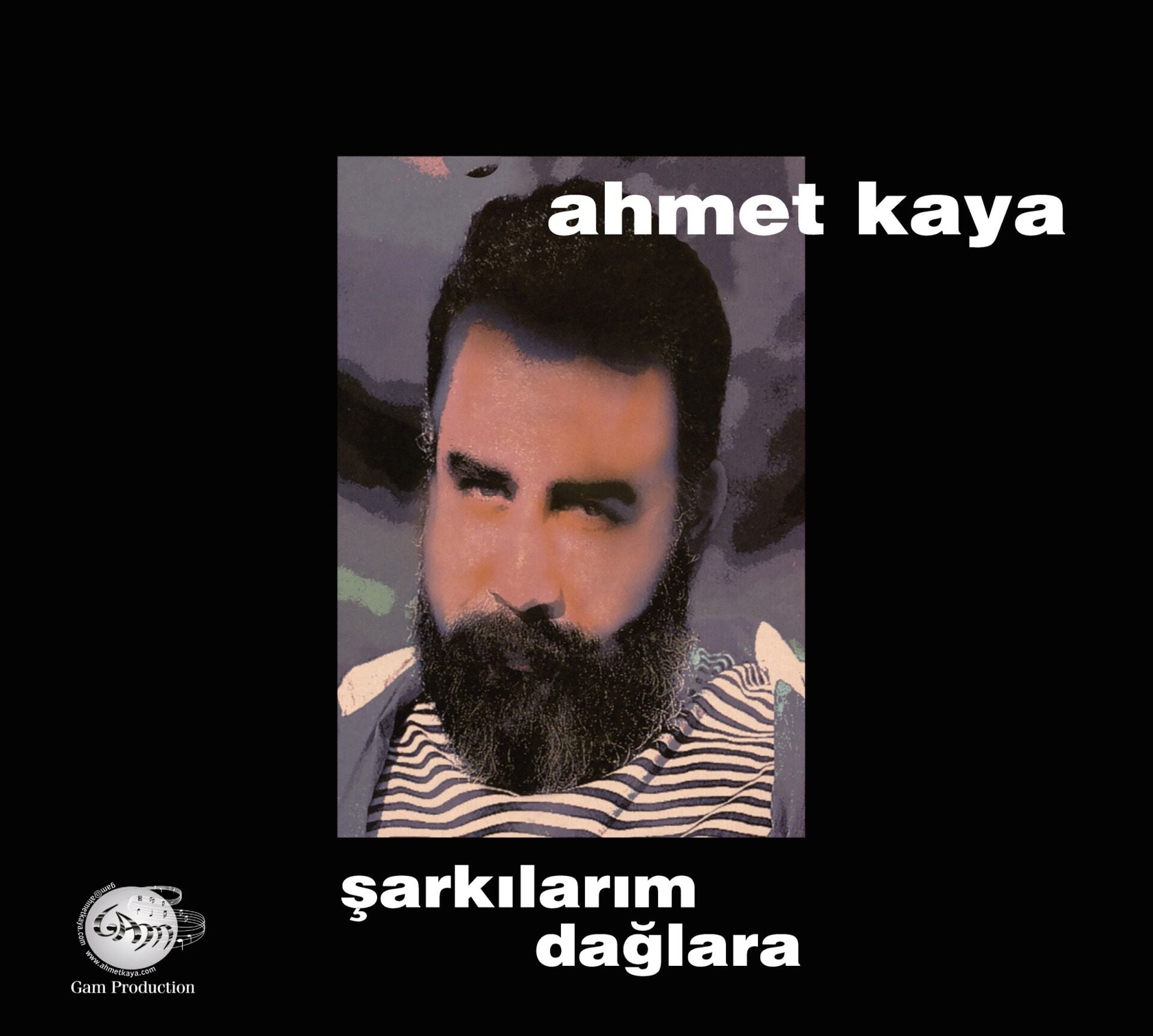 Ahmet Kaya - Şarkılarım Dağlara LP
