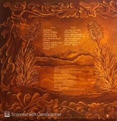 James Gang – Straight Shooter LP