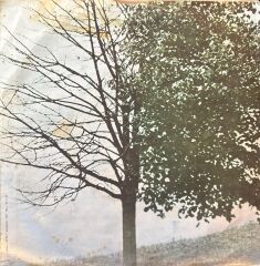 Mediha Şen - Elbet Birgün Buluşacağız / O Ağacın Altını Anmaz Olur Muyum Hiç 45lik