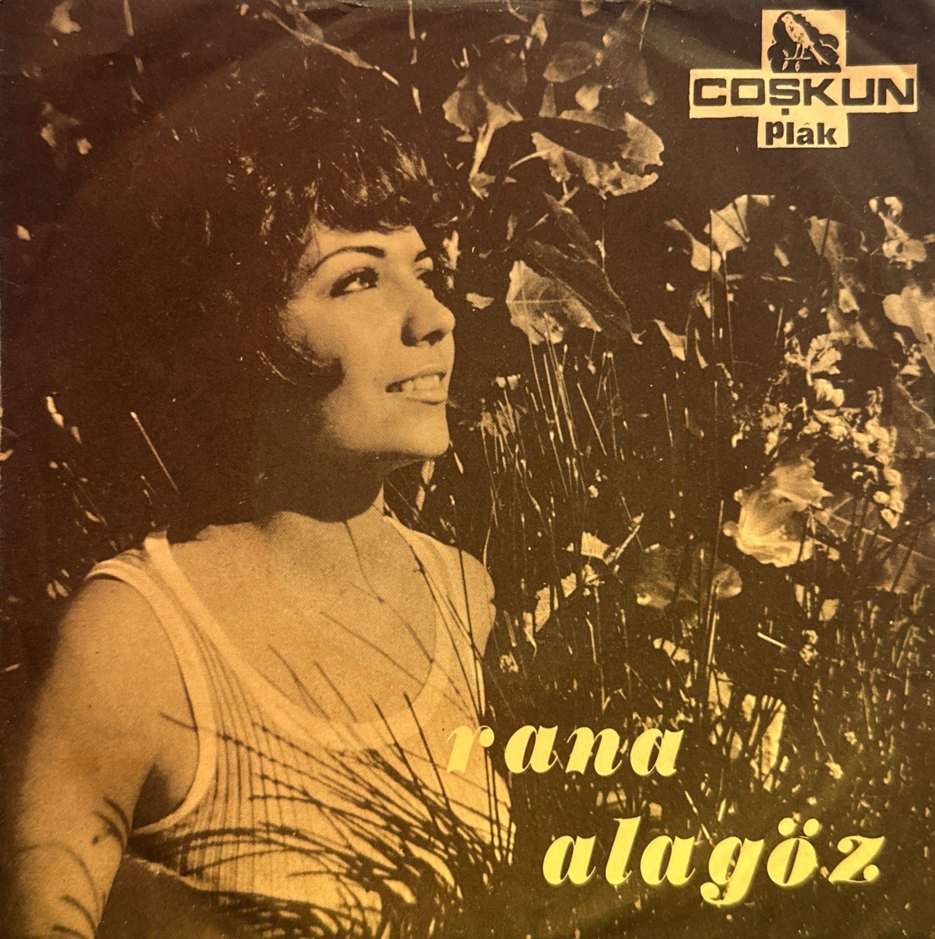 Rana Alagöz - Her Şey Bitmiştir Artık / Sevgiliye 45'lik