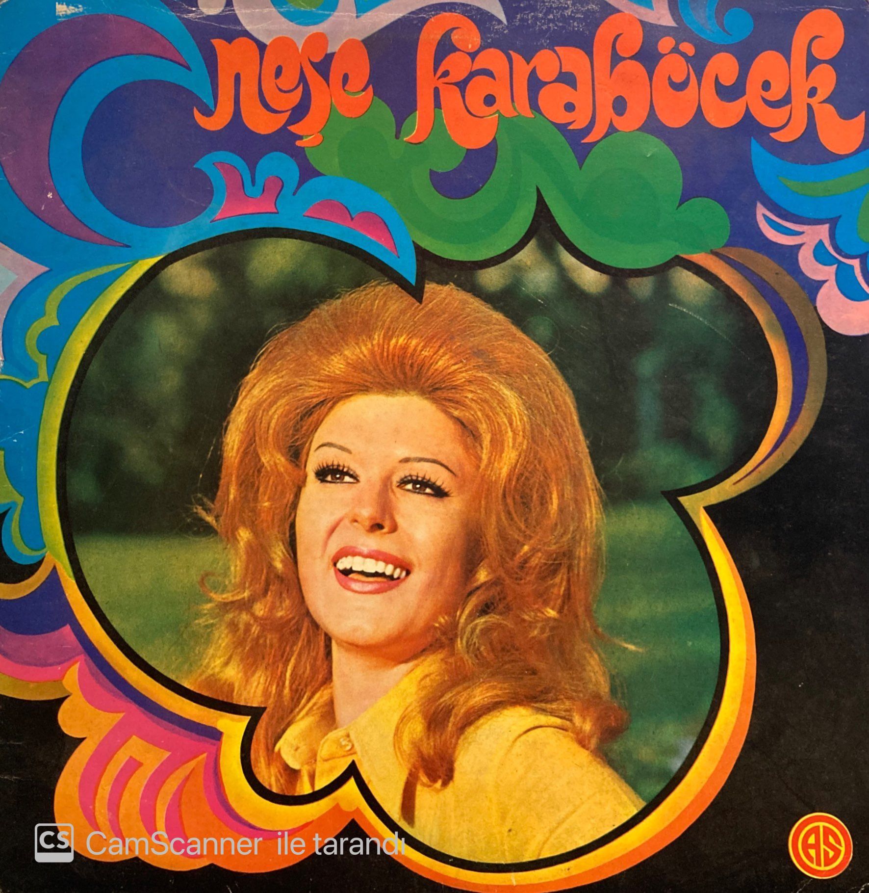 Neşe Karaböcek – Büyük Aşkların Kaderi LP
