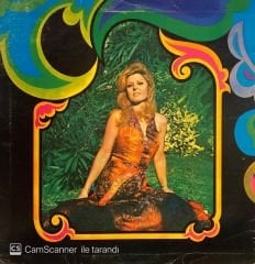 Neşe Karaböcek – Büyük Aşkların Kaderi LP