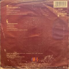 Sinéad O'Connor – Nothing Compares 2 U / Jump In The River 45'lik