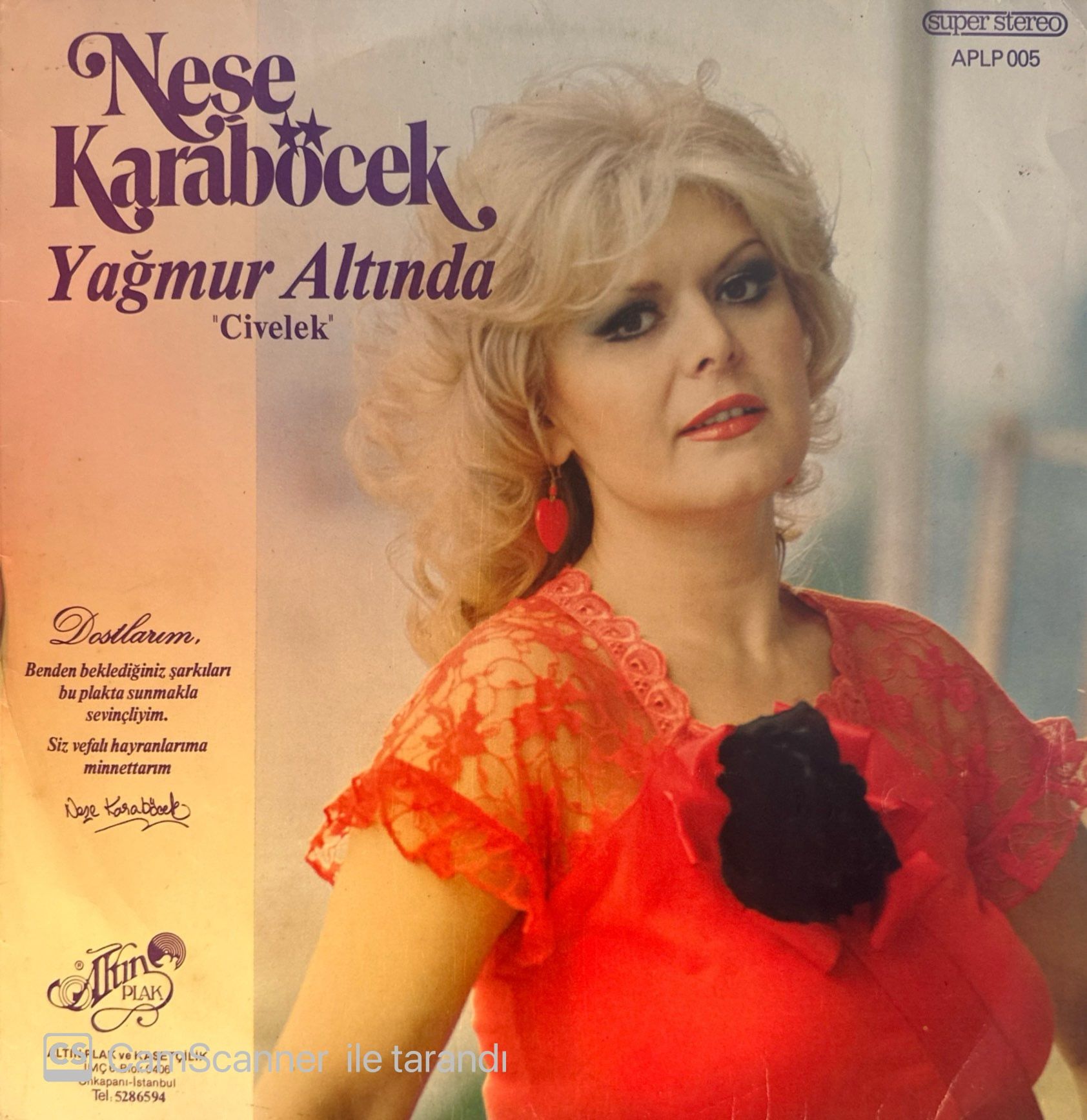 Neşe Karaböcek – Yağmur Altında ''Civelek'' LP