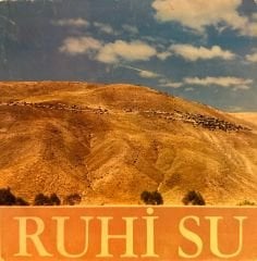 Ruhi Su - Drama Köprüsü / Heyamol 45'lik
