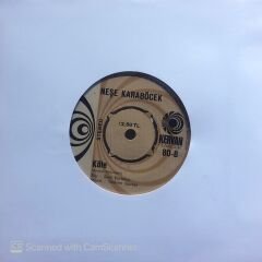 Neşe Karaböcek - Gönül / Köle 45lik