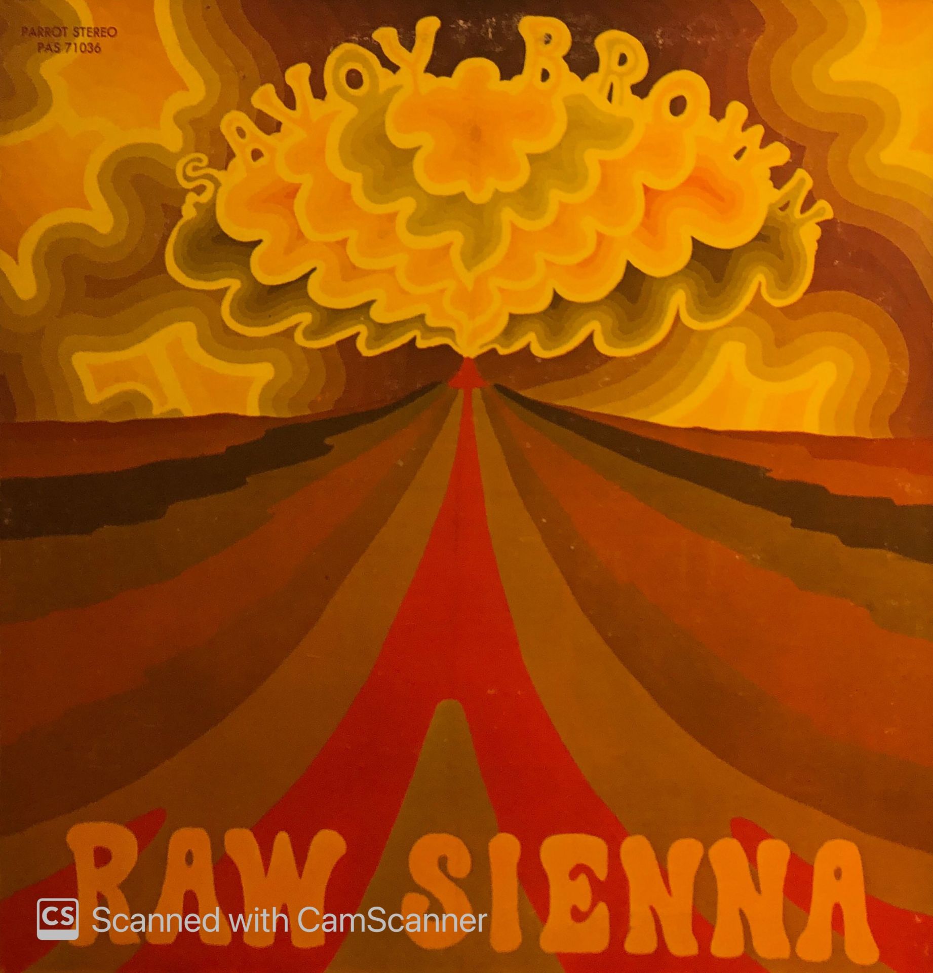 Savoy Brown – Raw Sienna LP