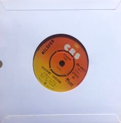 Nilüfer - Of Aman Aman / Kaderime Kaderime 45lik
