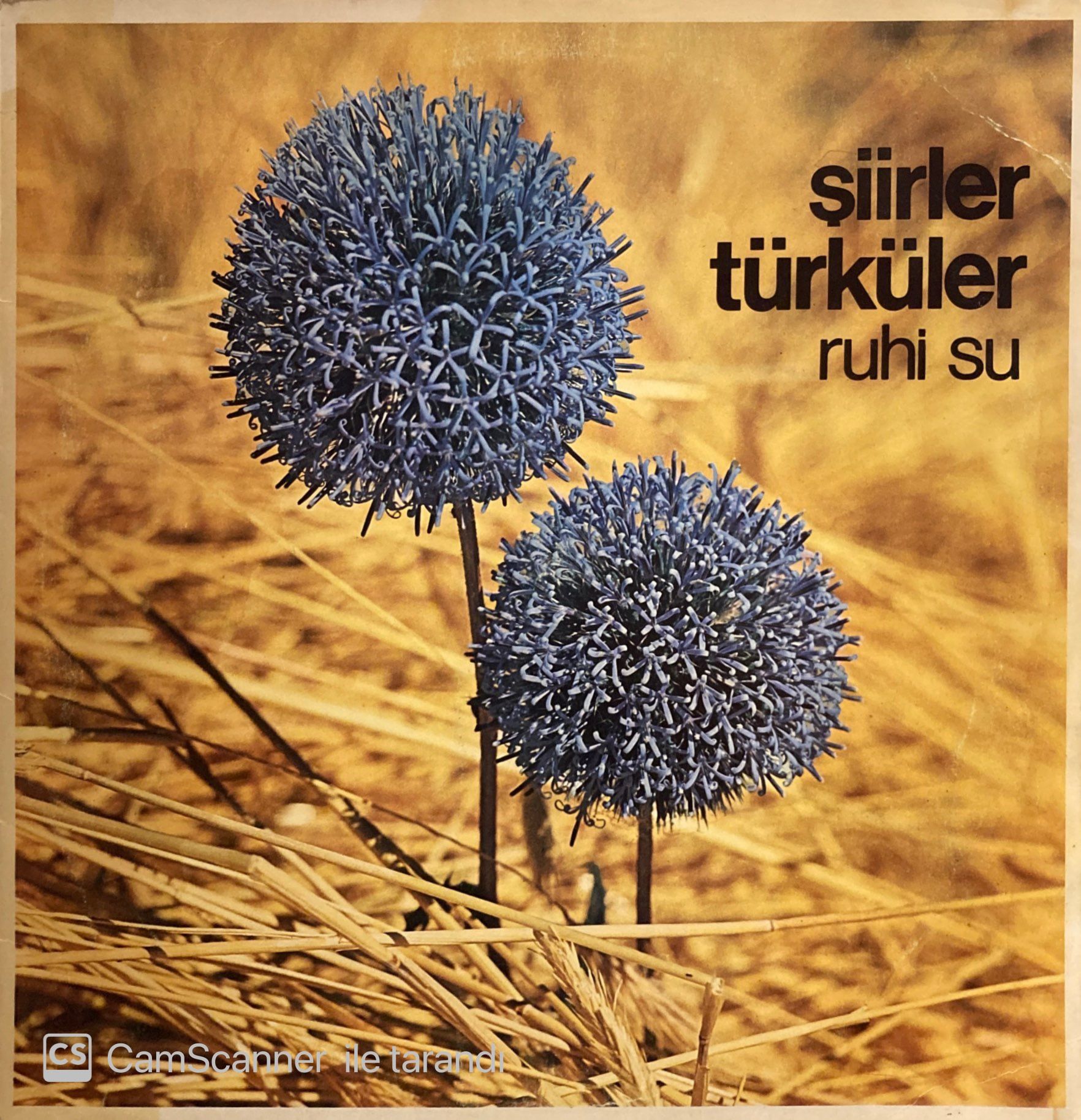 Ruhi Su – Şiirler - Türküler LP