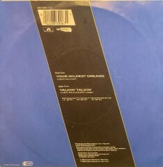 The Moody Blues – Your Wildest Dreams / Talkin' Talkin' 45'lik