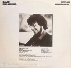 David Bromberg – Demon In Disguise LP