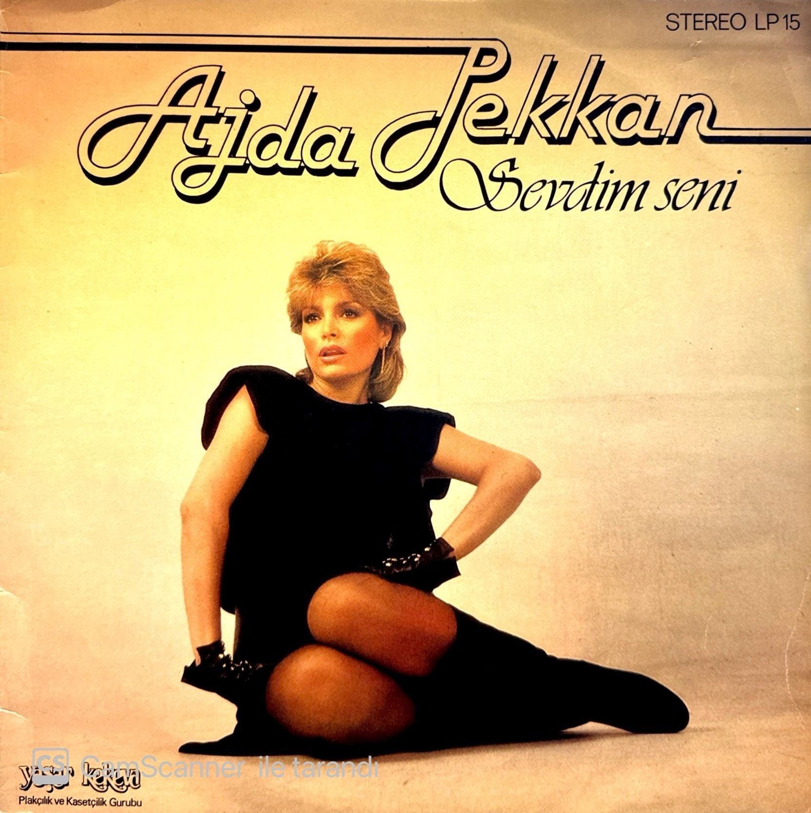 Ajda Pekkan – Sevdim Seni LP