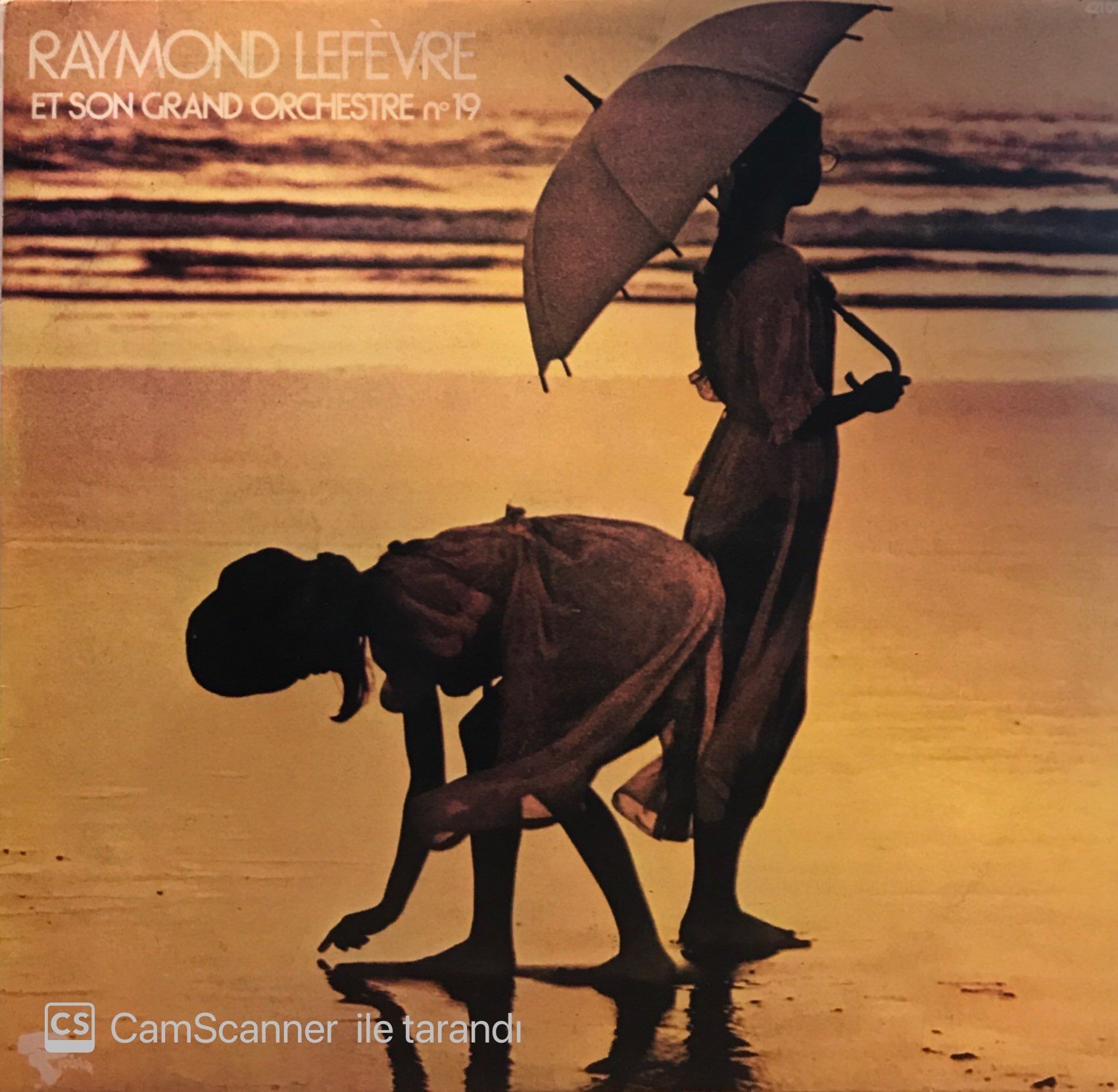 Raymond Lefèvre Et Son Grand Orchestre – Raymond Lefèvre Et Son Grand Orchestre N° 19 LP
