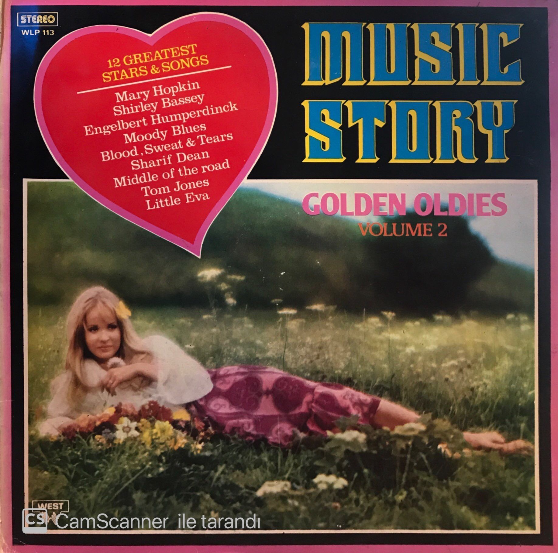 Music Story Golden Oldies Volume 2 LP