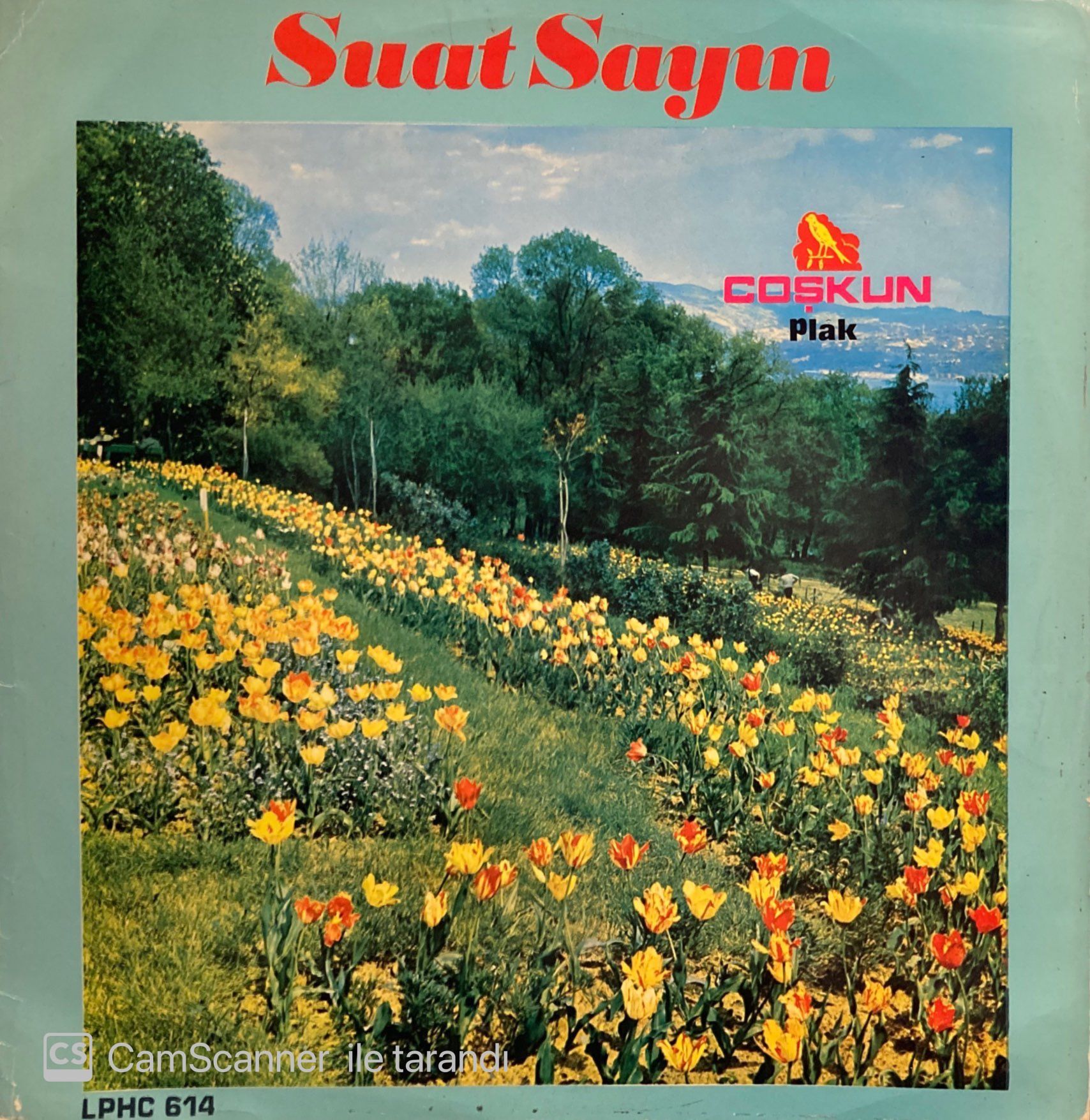 Suat Sayın - Fikrimin İnce Gülü LP
