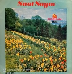 Suat Sayın - Fikrimin İnce Gülü LP