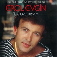 Erol Evgin - İşte Öyle Bir Şey  LP