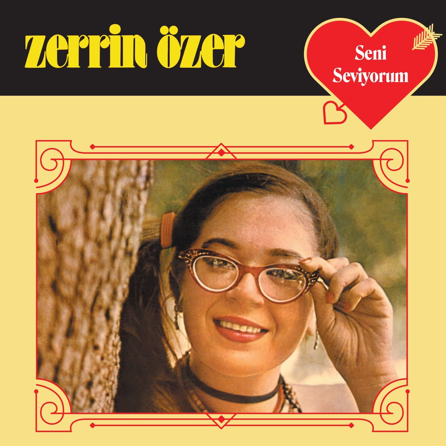 Zerrin Özer - Seni Seviyorum LP
