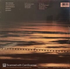 Bruce Hornsby And The Range – The Way It Is LP