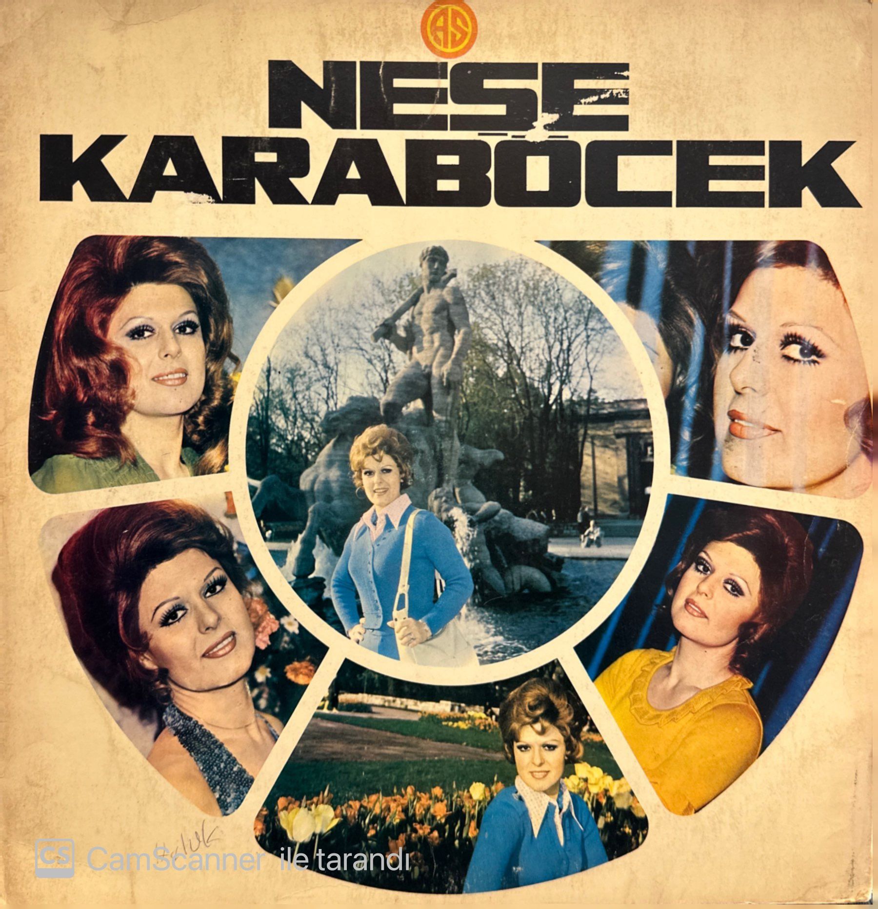 Neşe Karaböcek - Kulakların Çınlasın LP
