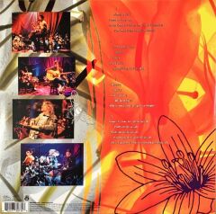 Nirvana - MTV Unplugged In New York (25th Anniversary Edition) LP