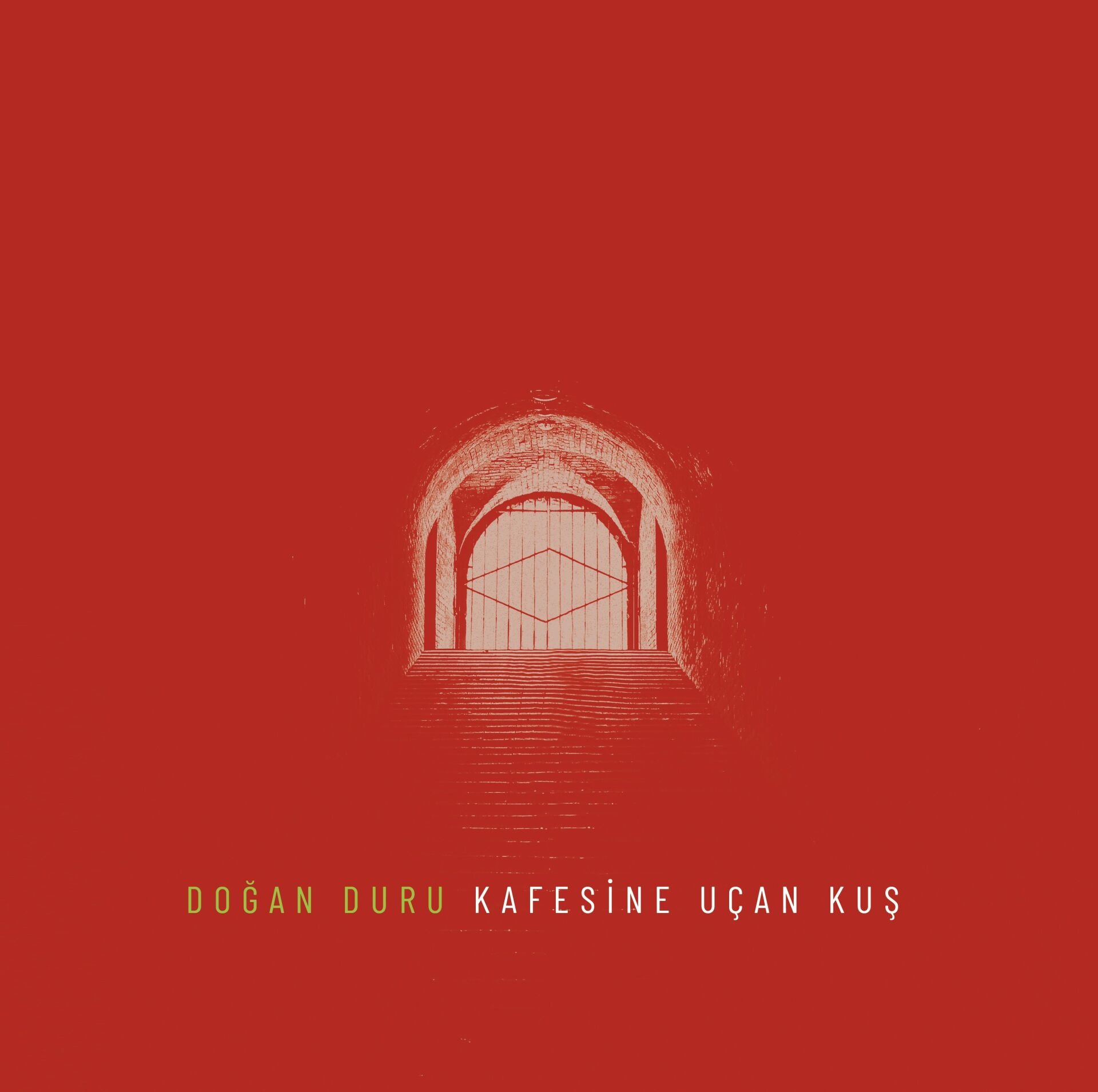 Doğan Duru - Kafesine Uçan Kuş LP
