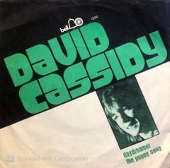 David Cassidy - Daydreamer / The Puppy Song 45lik