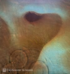 Pink Floyd – Meddle LP