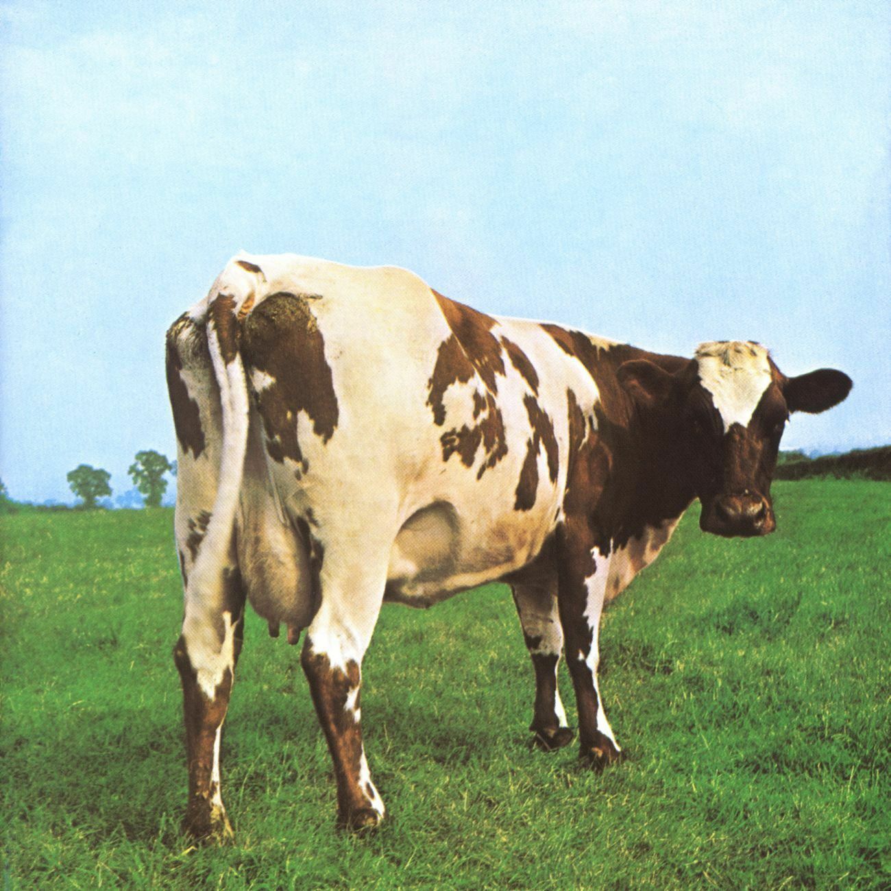 Pink Floyd - Atom Heart Mother LP