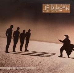 Jellybean* – Just Visiting This Planet LP