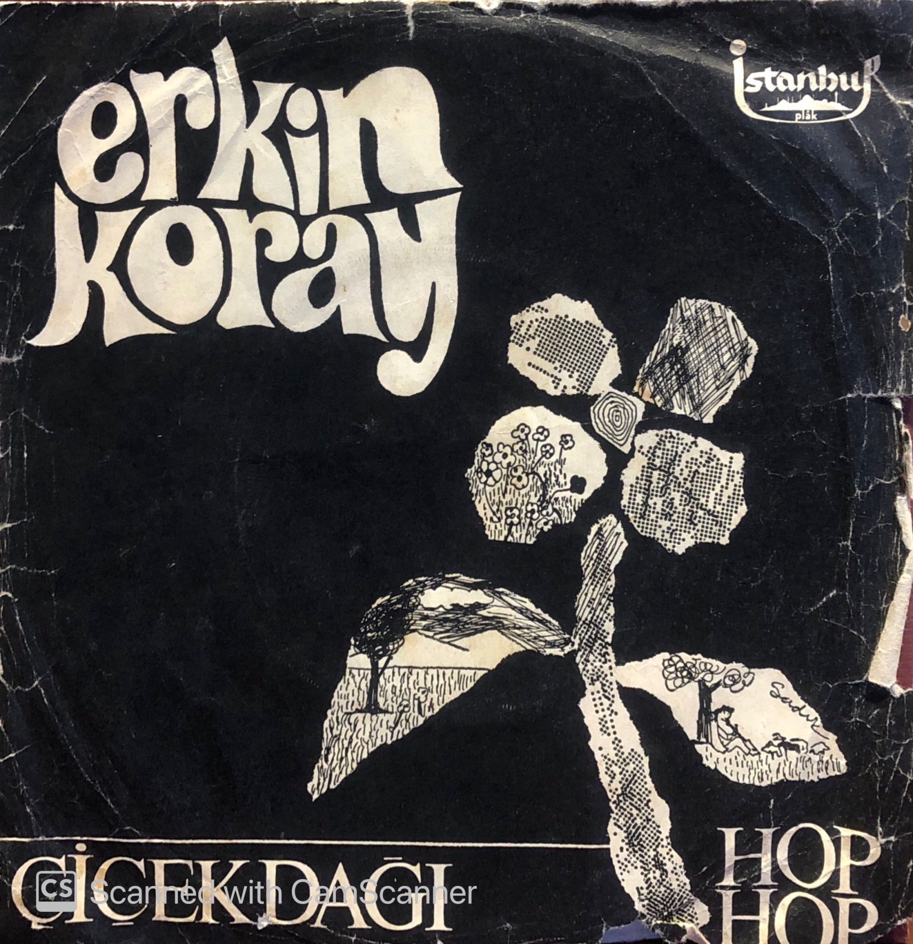 Erkin Koray - Çiçekdağı / Hop Hop 45lik