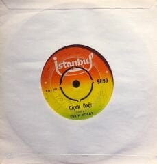 Erkin Koray - Çiçek Dağı / Hop Hop Gelsin 45lik
