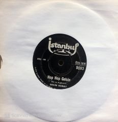Erkin Koray - Çiçek Dağı / Hop Hop Gelsin 45lik