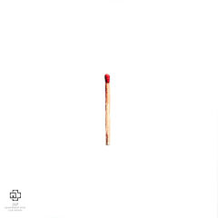 Rammstein - Rammstein LP