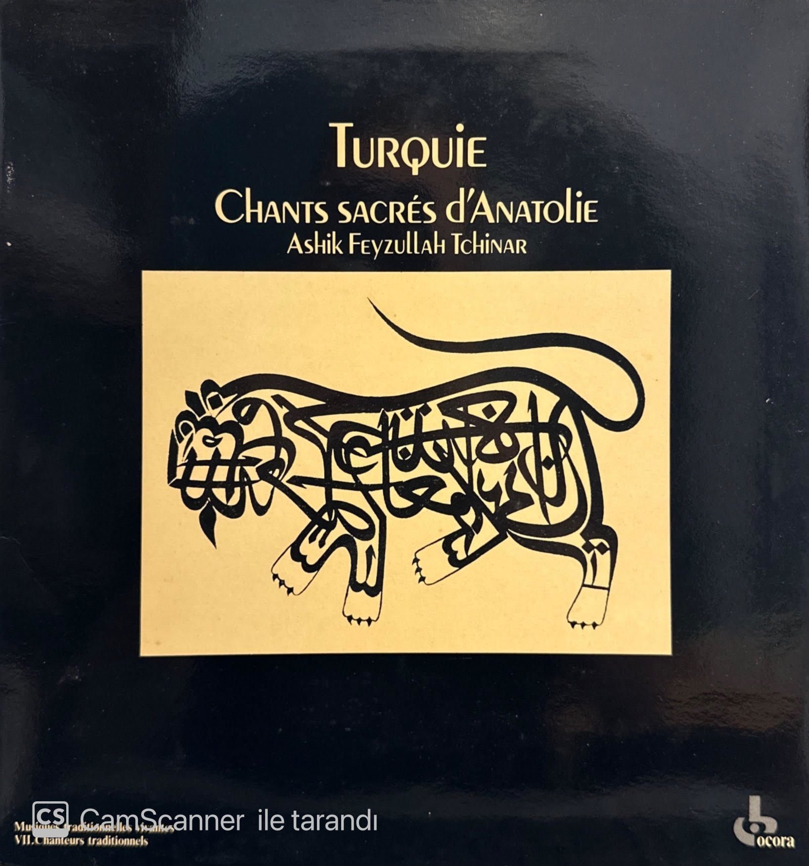 Aşık Feyzullah Çınar - Ashik Feyzullah Tchinar* – Turquie: Chants Sacrés D'Anatolie (Fransa baskı ) LP