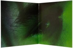 Post Malone - Stoney LP