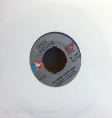 Ferdi Tayfur - Yağmur Gözyaşım / Alıştım 45lik