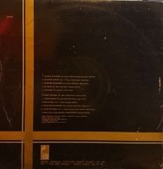 Bülent Ersoy – Yaşamak İstiyorum LP
