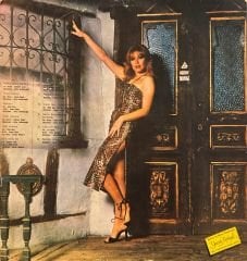 Nil Burak – Benim Adım Şarkıcı LP