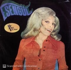 Esengül - Taht Kurmuşsun Kalbime / Çok Geç Olmadan 45lik