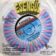 Esengül - Taht Kurmuşsun Kalbime / Çok Geç Olmadan 45lik