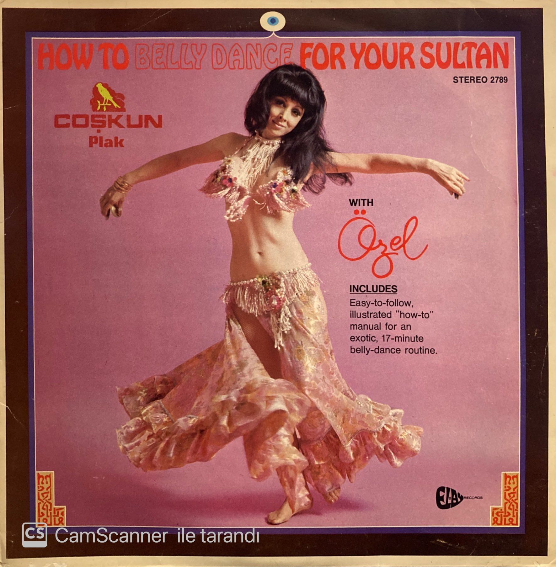 Özel Türkbas – How To Belly Dance For Your Sultan LP