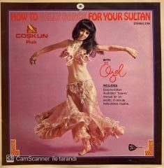 Özel Türkbas – How To Belly Dance For Your Sultan LP