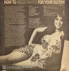 Özel Türkbas – How To Belly Dance For Your Sultan LP