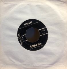 Berkant - Samanyolu / Özledim Seni 45lik