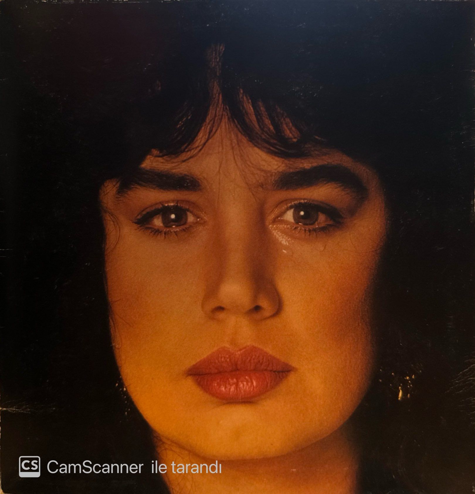 Sezen Aksu – Ağlamak Güzeldir LP