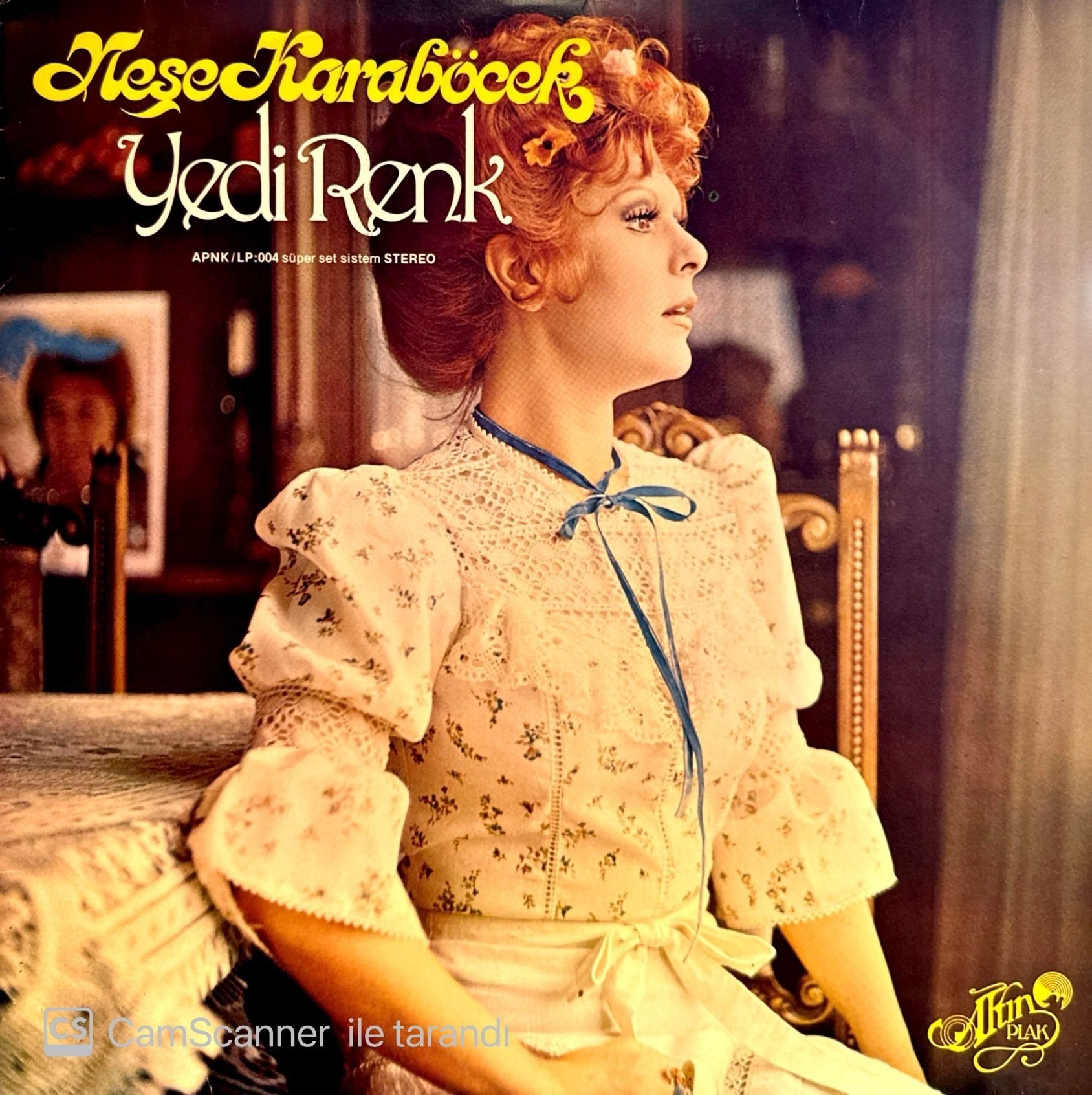 Neşe Karaböcek – Yedi Renk LP