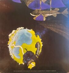 Yes – Fragile LP