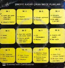 Ruhi Su - Bugün Ayın Işığı / Çamdan Sakız Akıyor 45lik