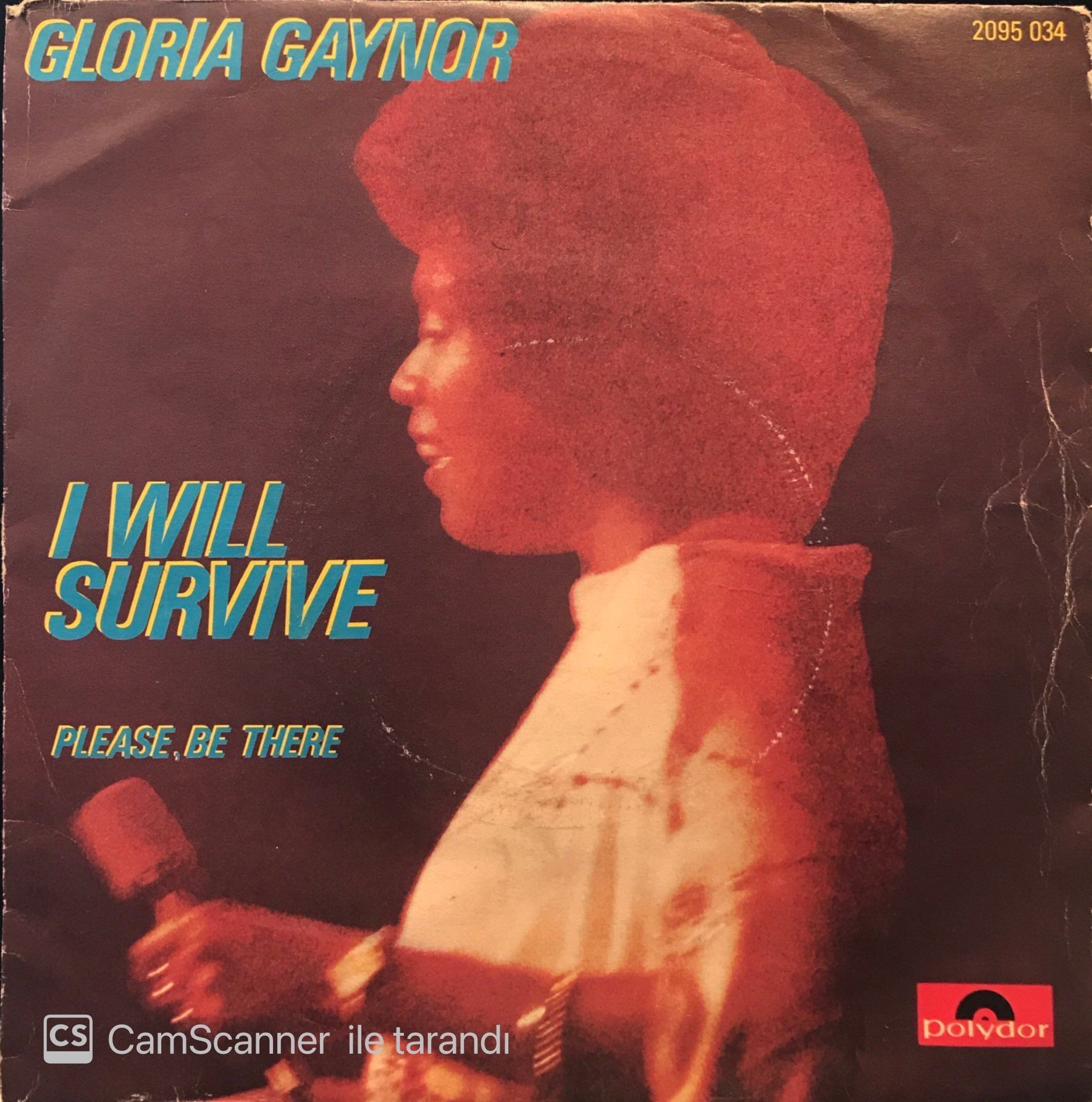Gloria Gaynor - I Will Survive / Please, Be There 45'lik